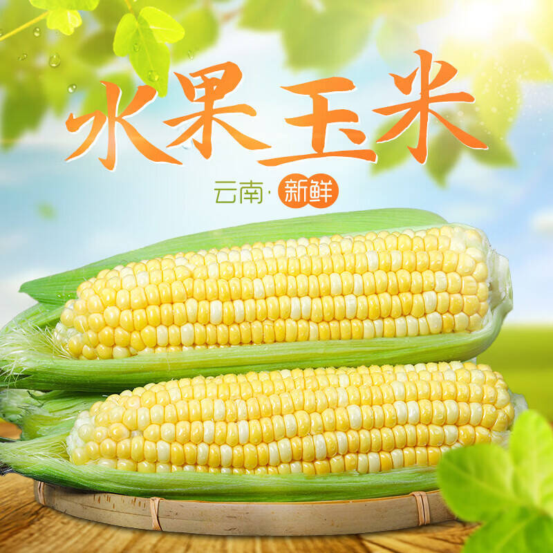 鲜然绿品云南金银双色玉米净重5斤 16.99元 - 线报酷
