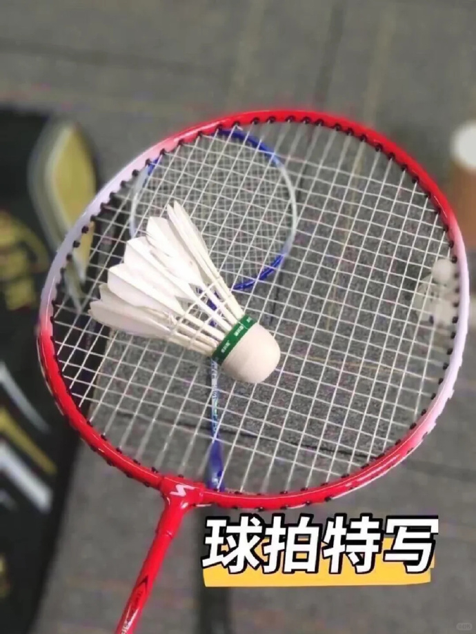迪科斯羽毛球3个 4.9元,迪科斯羽毛球拍2支套装 19.9元 - 86线报 迪科斯羽毛球3个 4.9元,迪科斯羽毛球拍2支套装 19.9元 - 86线报