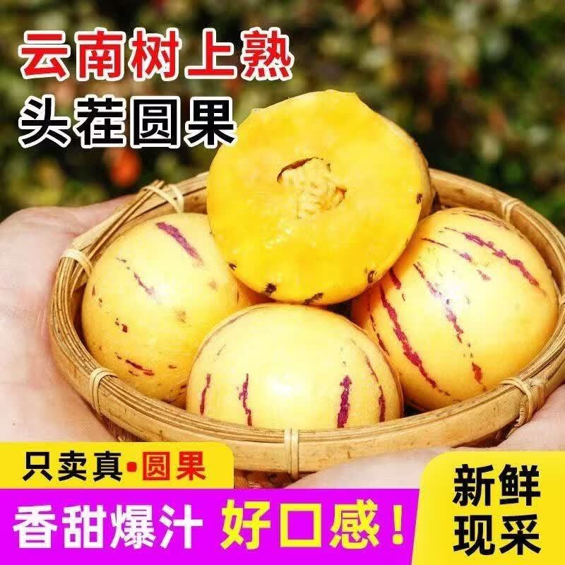 京喜自营正宗云南石林人参果带箱5斤 13.8元 - 86线报 京喜自营正宗云南石林人参果带箱5斤 13.8元 - 86线报