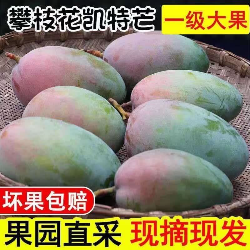 集南鲜四川凯特芒果净重4.5斤 11.9元 - 86线报