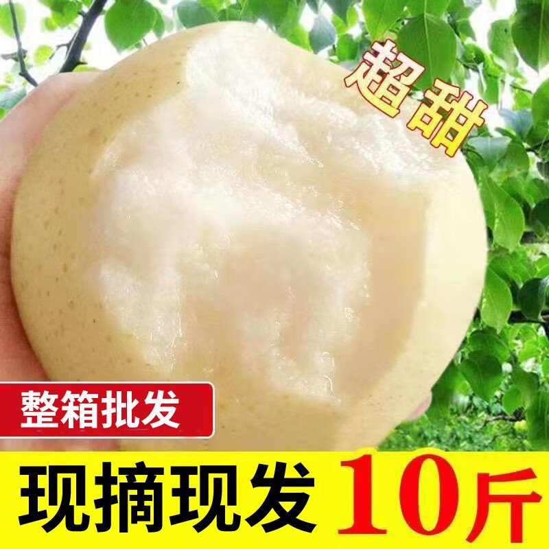 远达皇冠梨净4.5斤单果230g+ 10.9元 - 86线报
