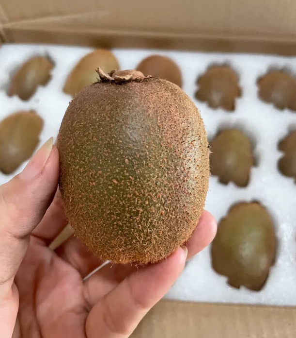 京鲜生翠香猕猴桃24粒单果70-90g 29.9元 - 86线报