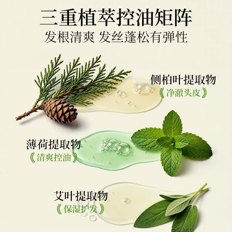 霸王侧柏叶洗发水600ml×2瓶拍2件 40元 - 86线报 霸王侧柏叶洗发水600ml×2瓶拍2件 40元 - 86线报