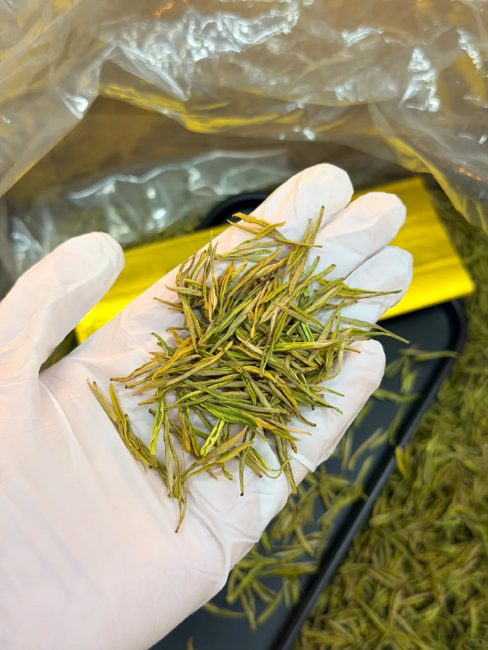 源聞白茶安吉奶白黄金芽50g*3罐 拍3件 59元 - 86线报