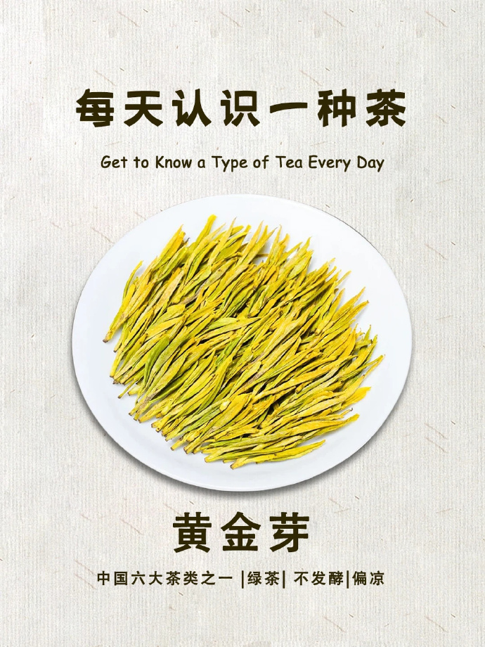 源聞白茶安吉黄金芽礼盒*200g 87.7元 - 86线报