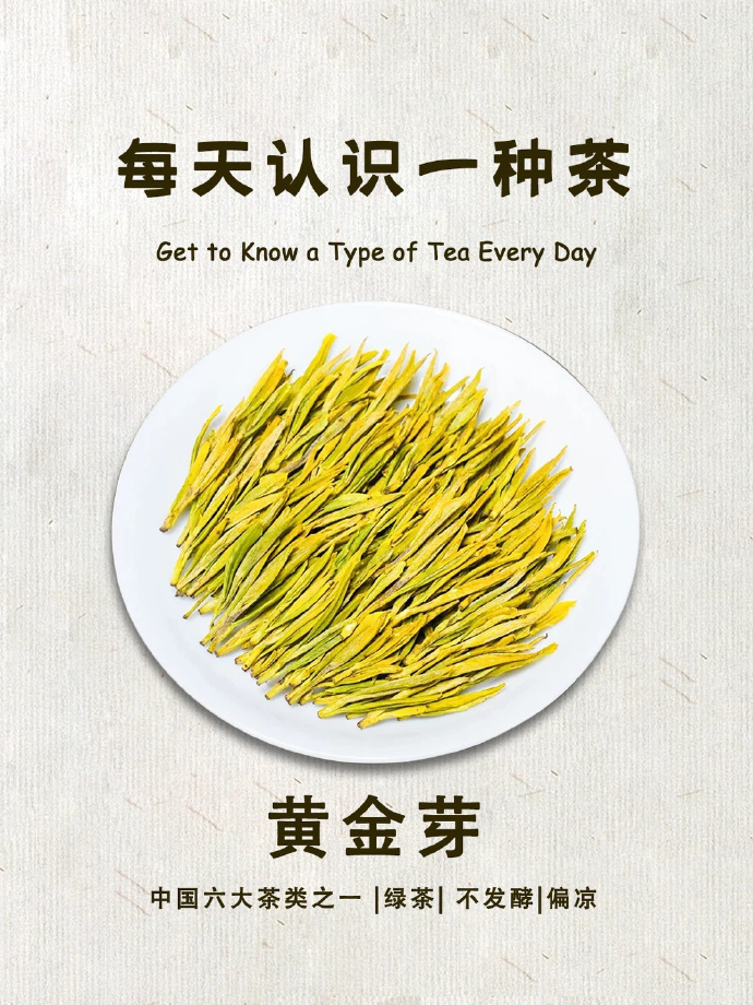 源聞白茶安吉黄金芽礼盒200g 87.7元 - 86线报
