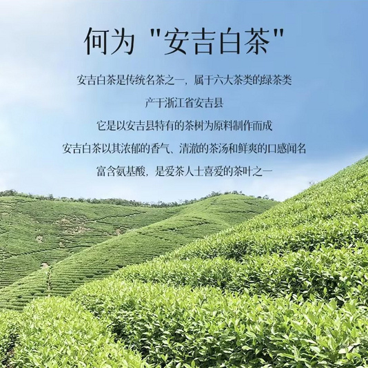 源聞白茶明前安吉白茶特级200g礼盒装 77.8元 - 86线报