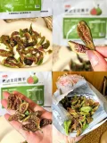 素材图片 图片 2