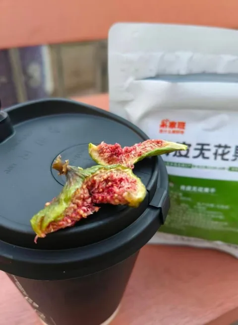素材图片 图片 1