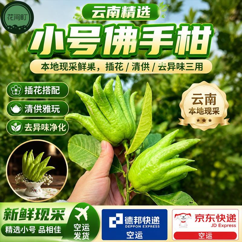 花间町云南鲜花 24.9元 佛手柑观赏小果1个200克 26.9元 - 86线报