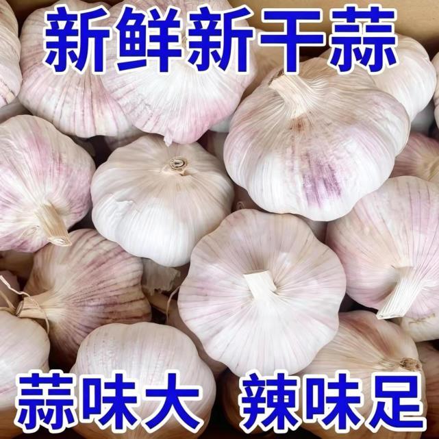 卉双山东紫皮干蒜带箱5斤 20.8元 - 86线报
