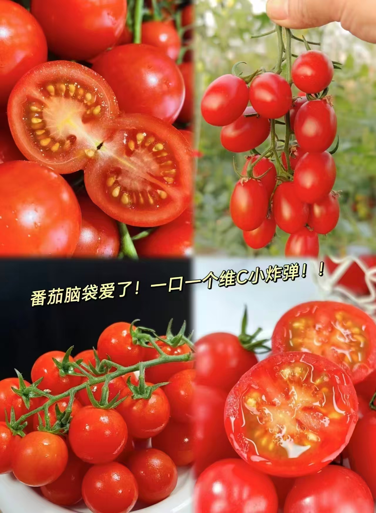 一颗大玲珑串樱桃番茄2斤 29.4元 - 线报酷