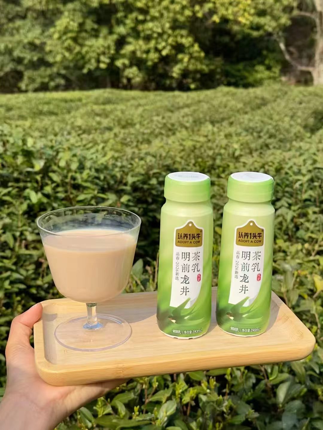认养一头牛龙井茶乳风味奶190ml*10瓶 拍2件 56元 - 86线报