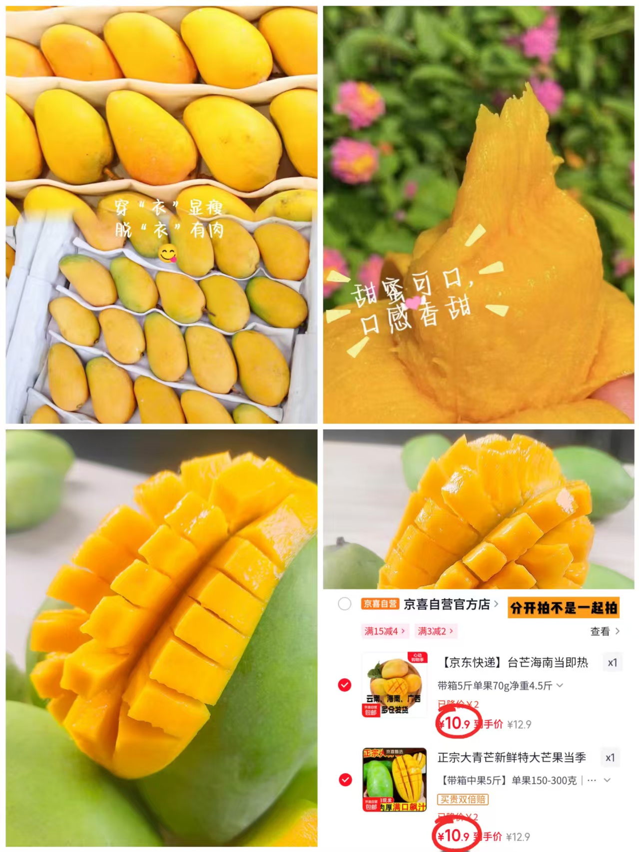 正宗海南台芒大青芒合集任选一款 10.9元 - 线报酷 正宗海南台芒大青芒合集任选一款 10.9元 - 线报酷