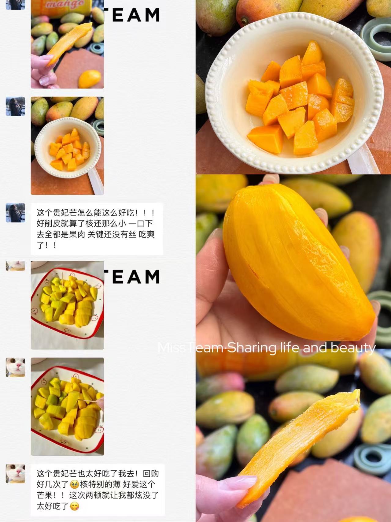 当季贵妃芒5斤 9.9元 - 86线报