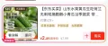 素材图片