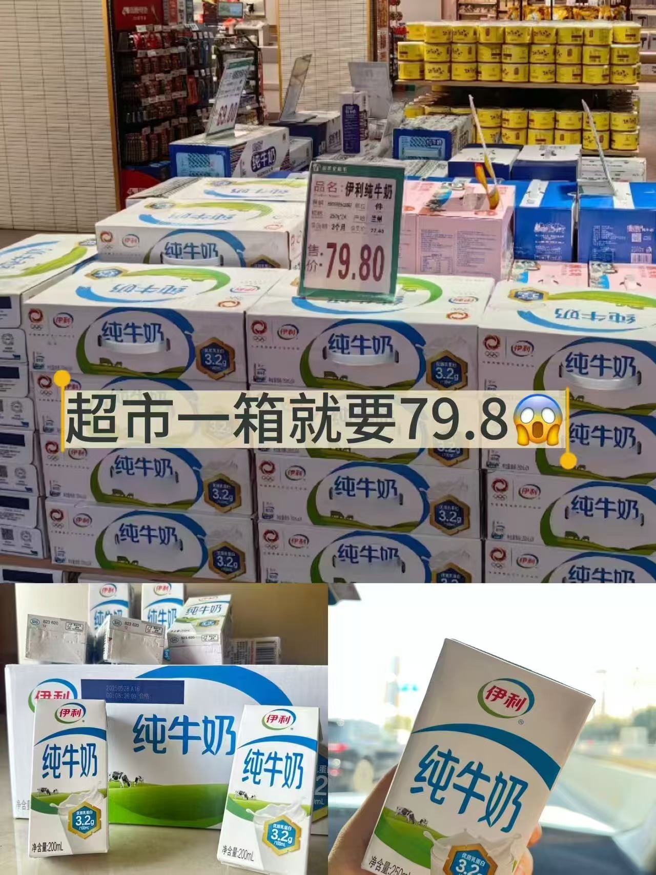 伊利高蛋白纯牛奶21盒*250ml 31元 - 美泡泡