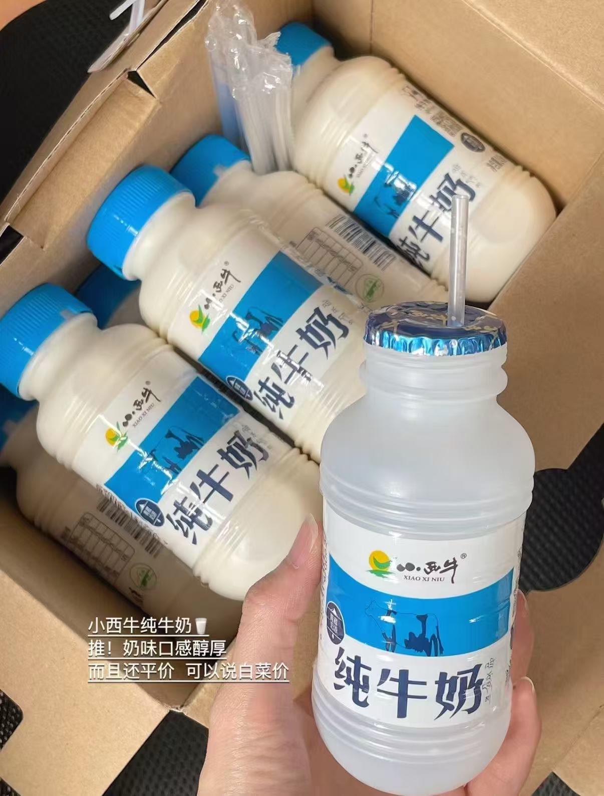 青海小西牛纯牛奶243ml×12瓶整箱 25.6元 - 86线报 青海小西牛纯牛奶243ml×12瓶整箱 25.6元 - 86线报