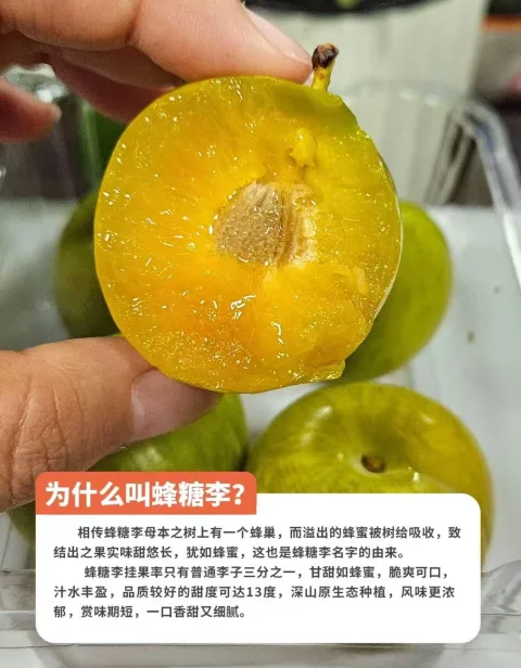 京觅 贵州六马镇宁蜂糖李 小果2斤装 图片 1