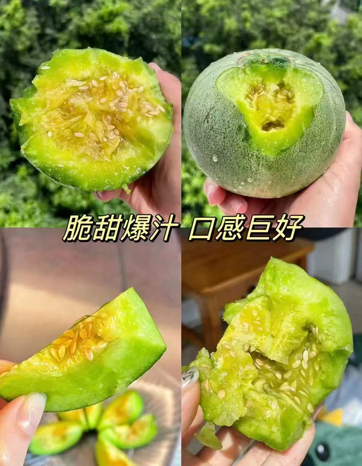 京鲜生山东哈密瓜1-2粒单果2.7斤净重4-5斤 16.8元 - 86线报