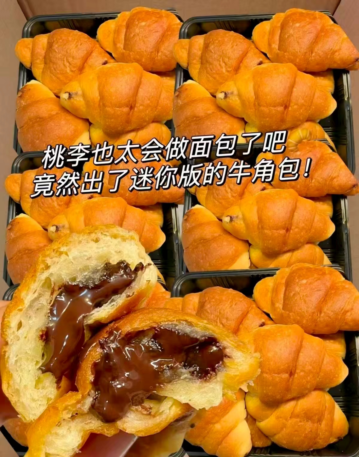 桃李可可爆了巧克力面包20袋 13.2元 - 86线报