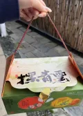 ZHIWEIGUAN/知味观 粽子礼盒装鲜肉粽豆沙甜粽咸鸭蛋 图片 2