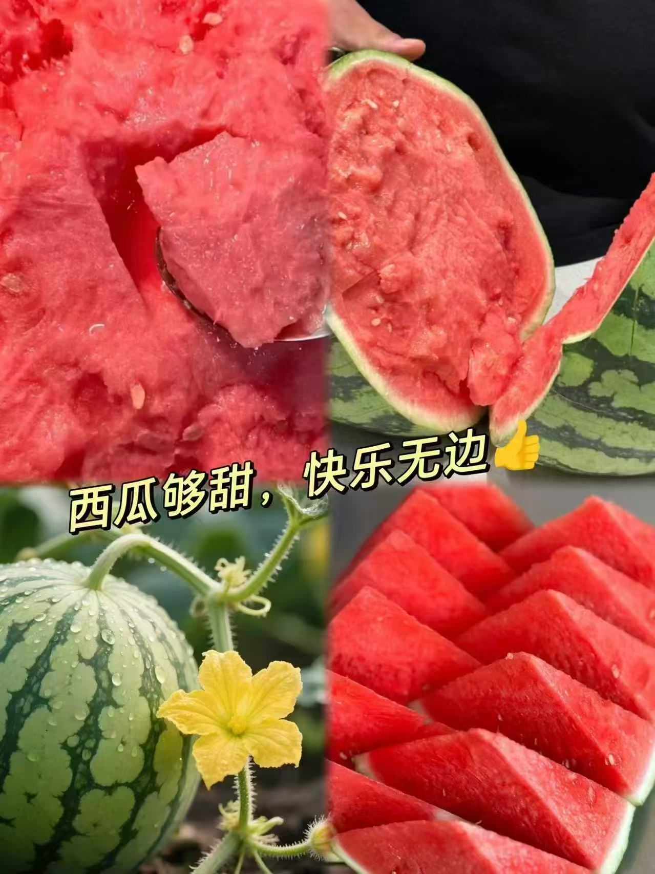 自营京鲜生无籽麒麟西瓜净重5-7斤 14.9元，自营京鲜生无籽麒麟西瓜净重7-9斤 19.8元 - 86线报