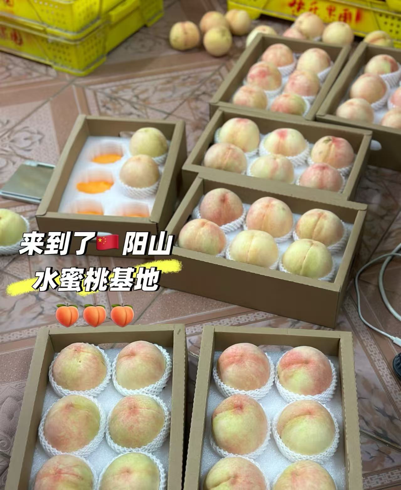 正宗无锡水蜜桃4-5斤礼盒装 29.8元 - 86线报