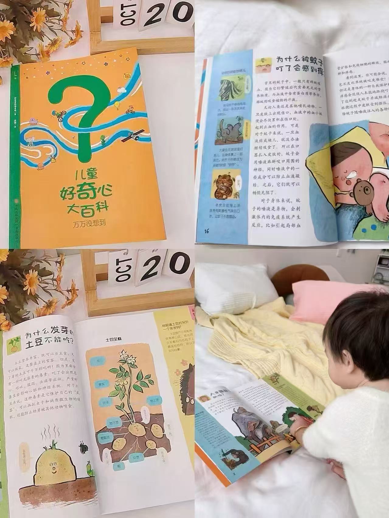 阅森林好奇心大百科单辑 24.8元 - 86线报