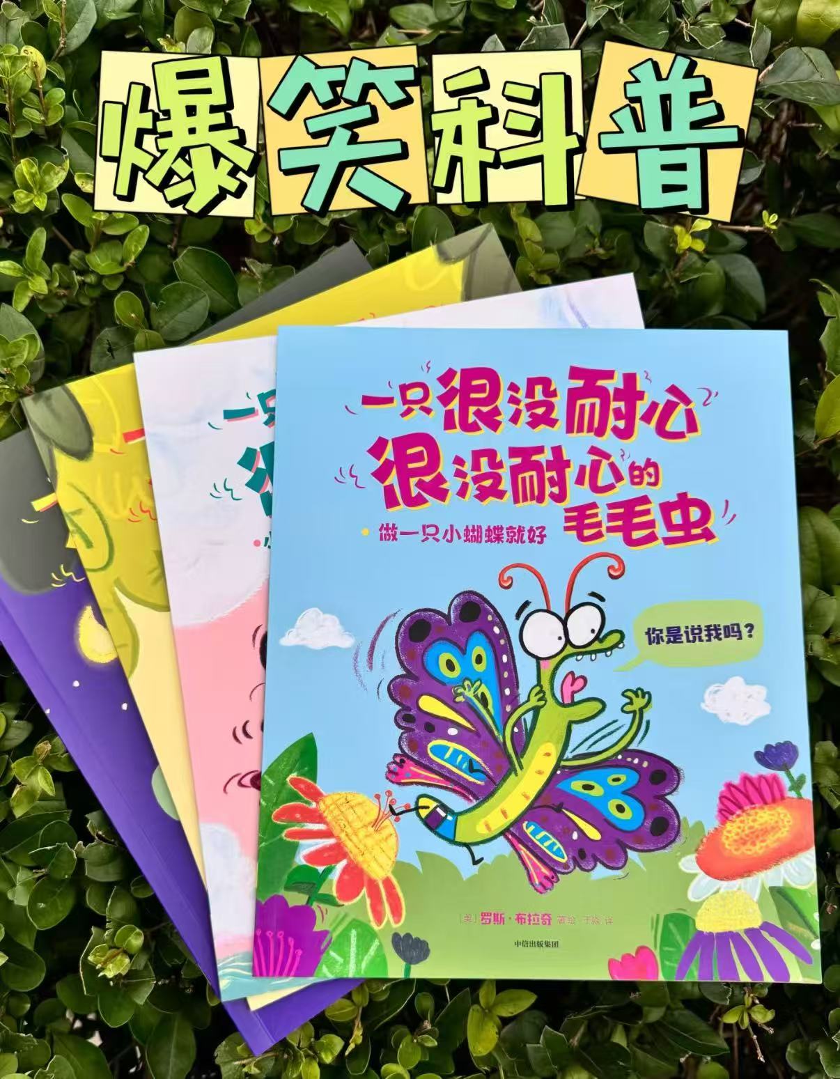 一只很没耐心的毛毛虫4册 25元 - 86线报