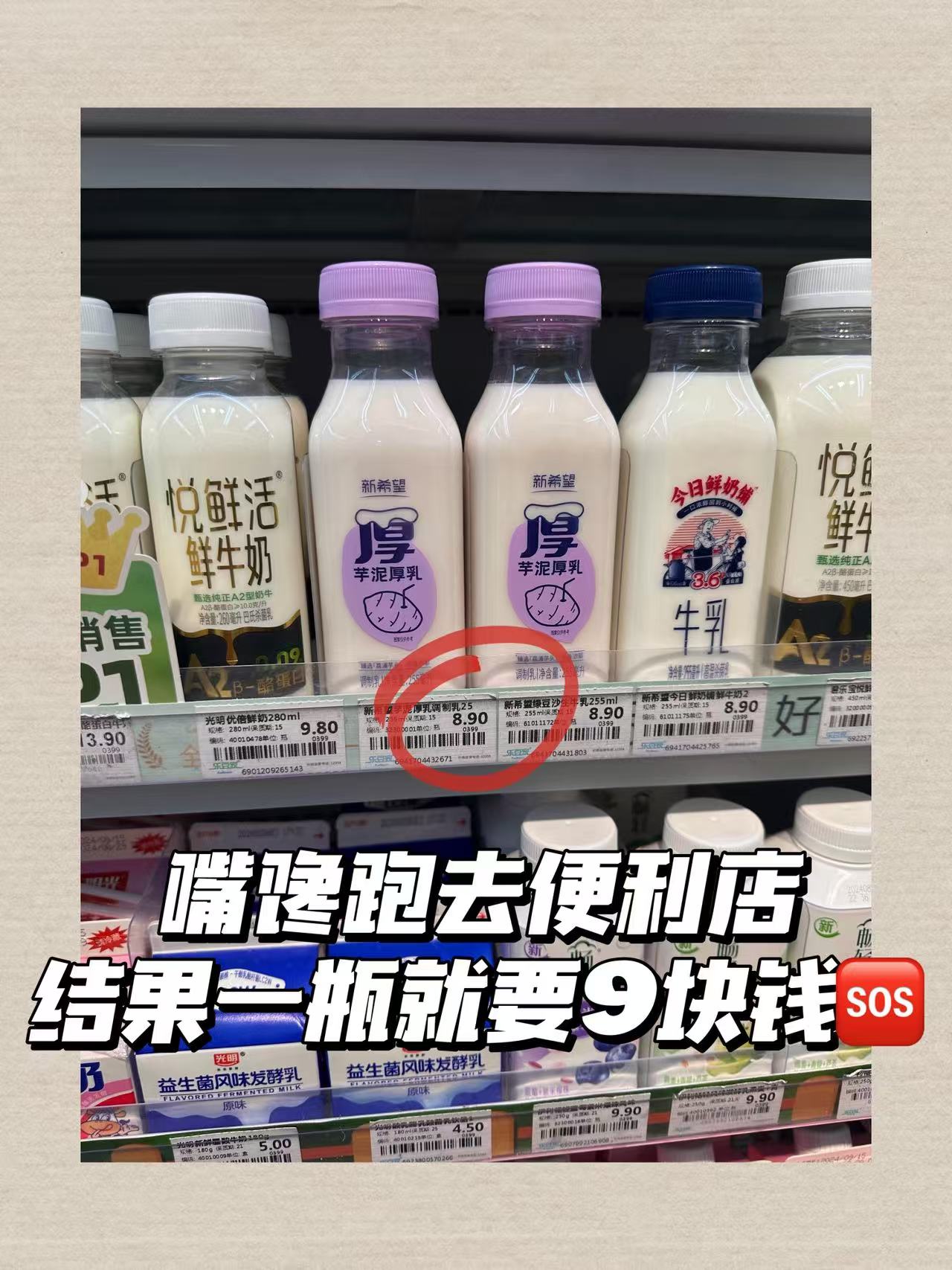 新希望芋泥厚乳6瓶 24元 - 线报酷