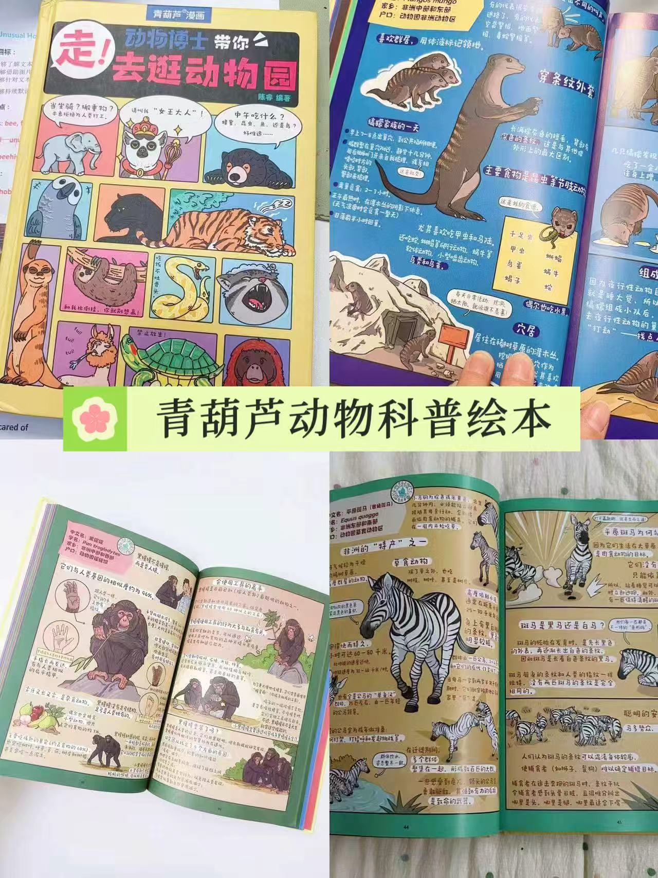 青葫芦动物科普绘本 16.9元，阅森林揭秘翻翻书拍4件 39.2元 - 86线报