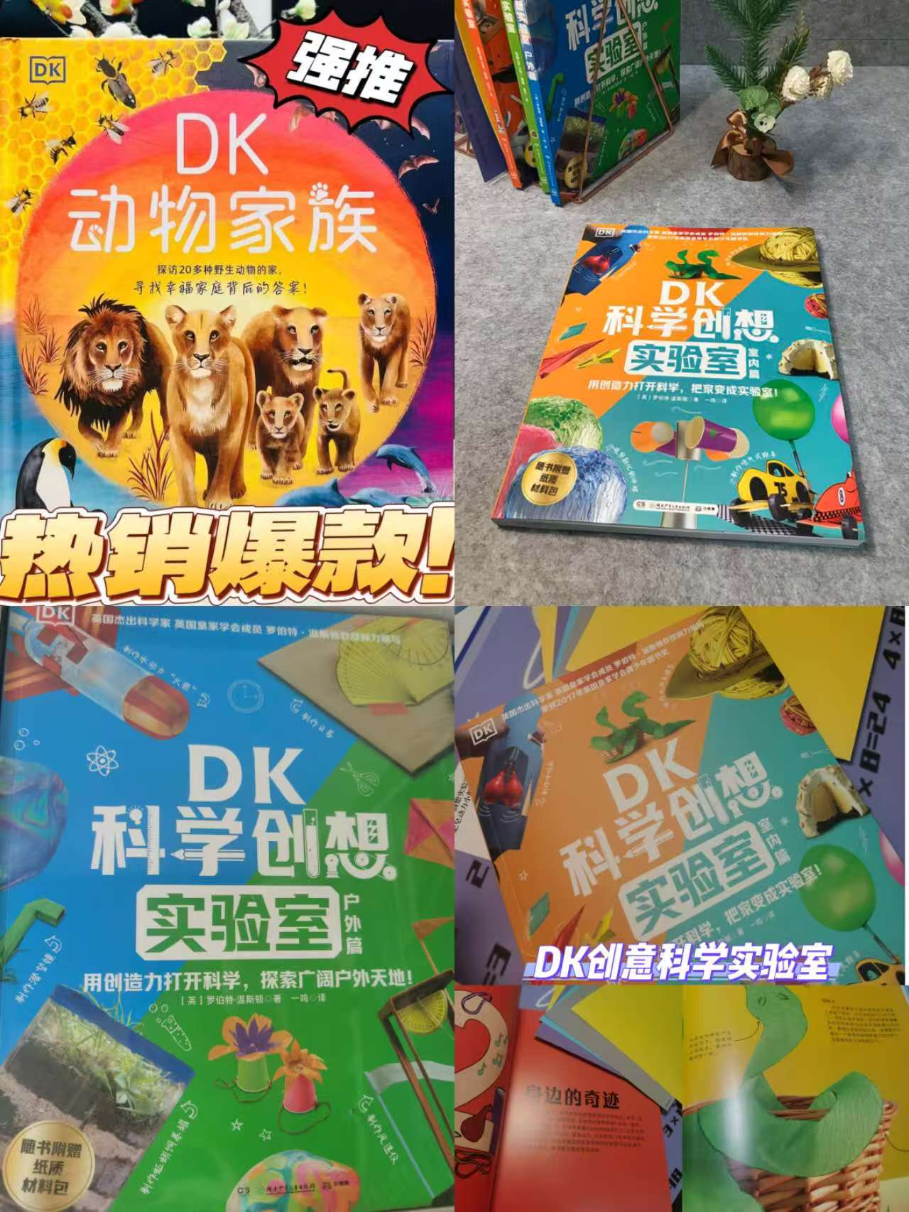 小博集DK动物家族 19元，小博集DK科学创想实验室户外篇 31元 - 86线报