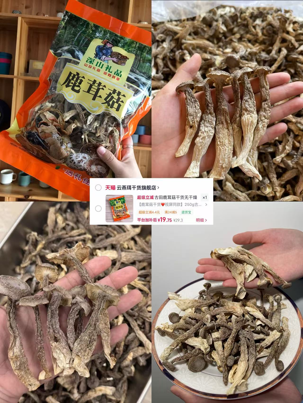 鹿茸菇干货250g 19元 - 线报酷