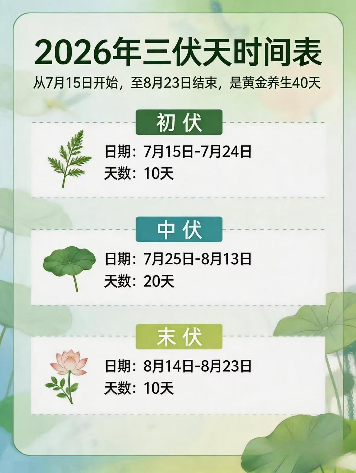 南阳仲景三伏帖3盒装90帖 19.9元 - 86线报