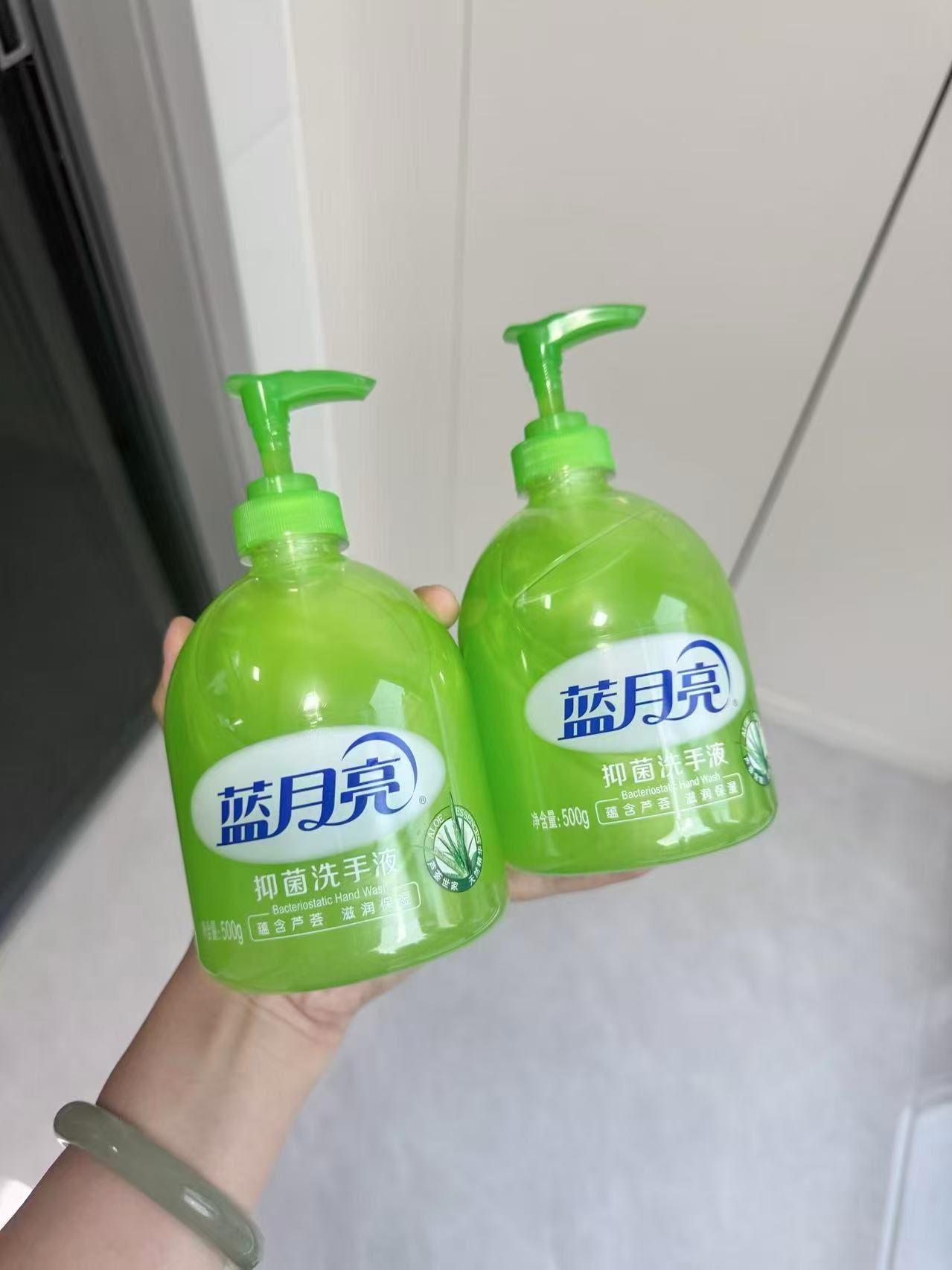 蓝月亮抑菌芦荟洗手液500g✘4瓶 27.63元 - 86线报