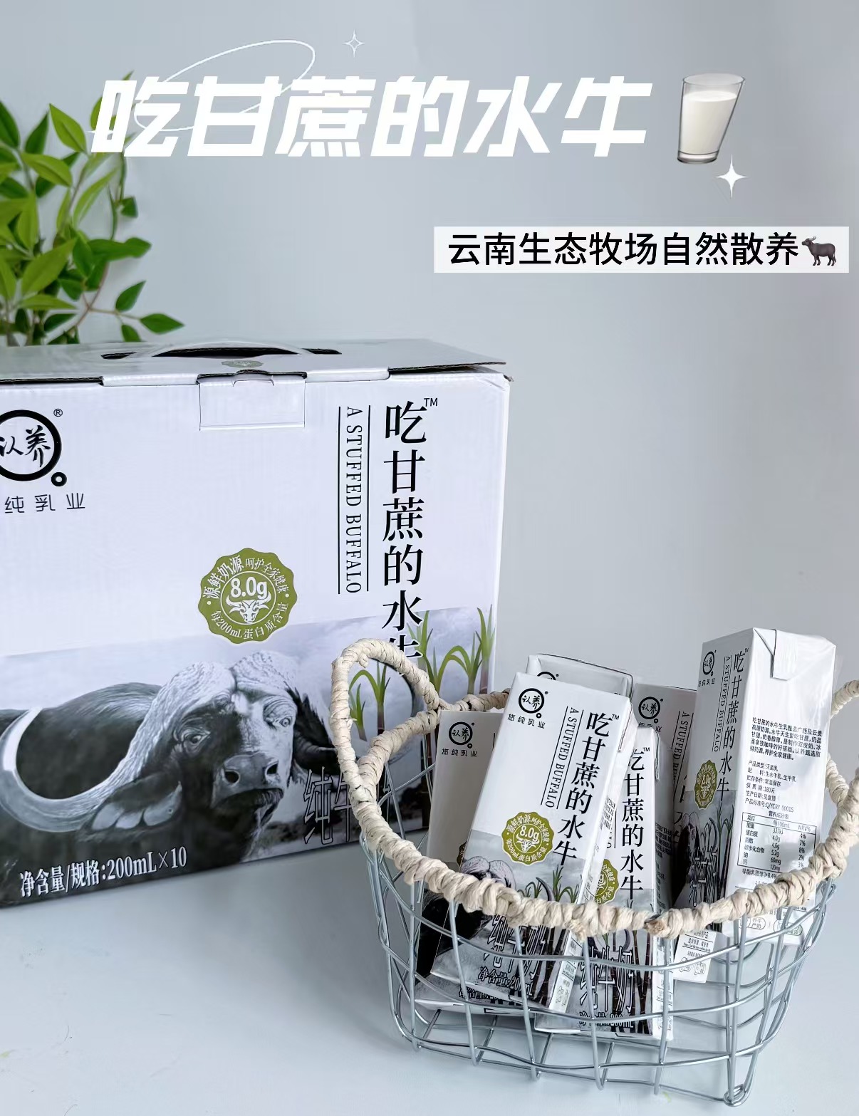 认养吃甘蔗的水牛奶200ml*10盒 28.2元 - 86线报
