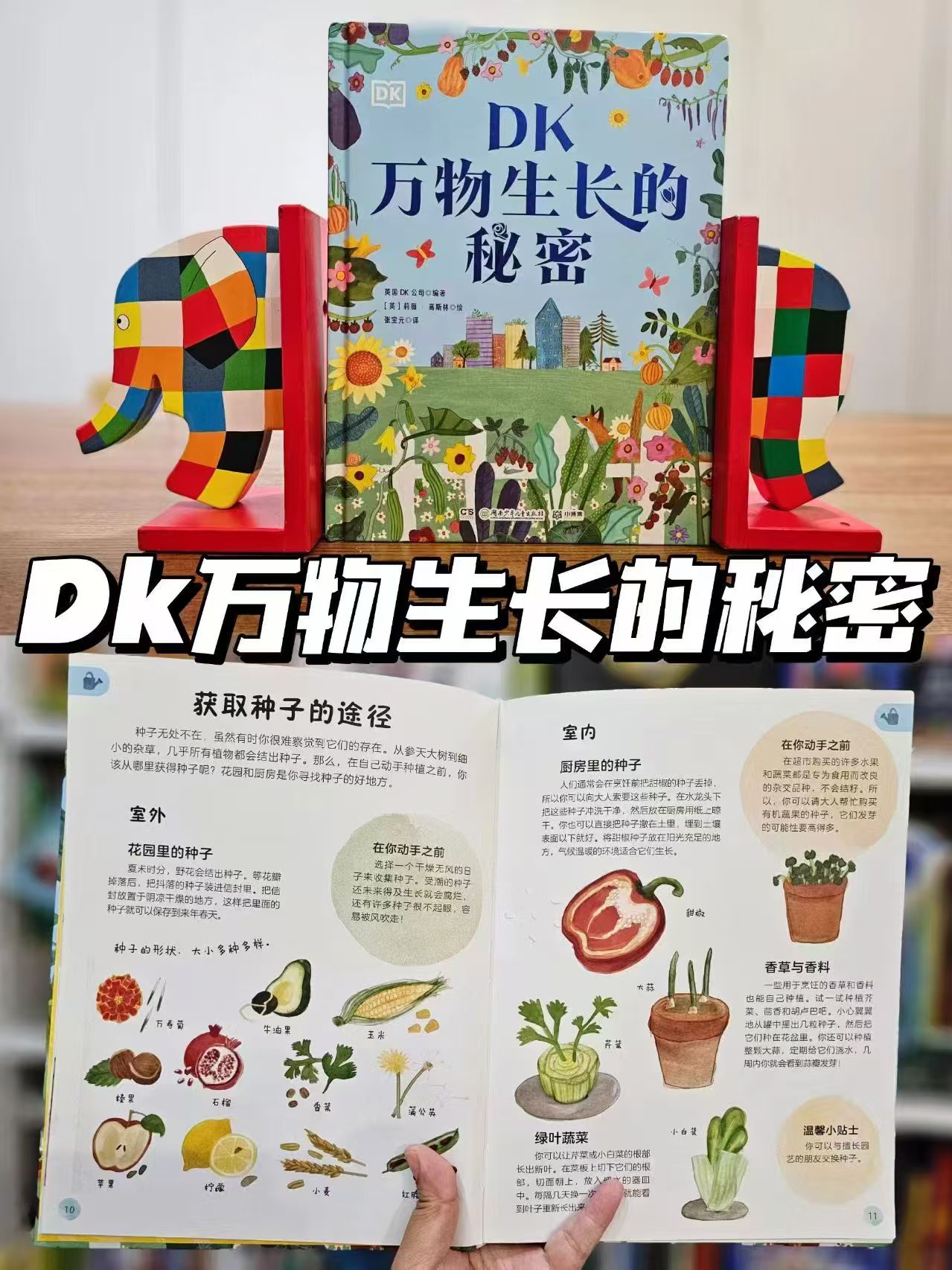 DK万物生长的秘密 21.2元 - 线报酷