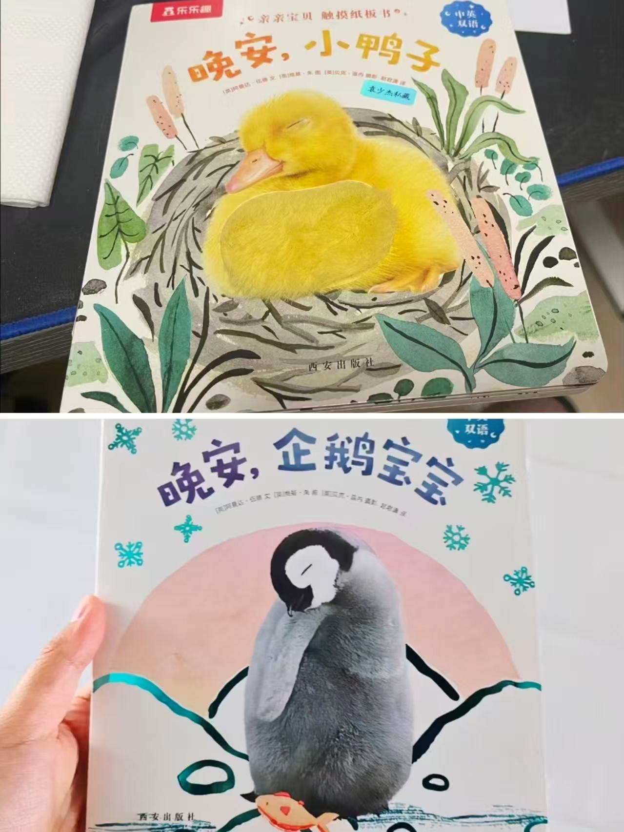 橡树林的故事组套8册+企鹅宝宝+小鸭子绘本+80张点读大卡12册 136元 - 线报酷 橡树林的故事组套8册+企鹅宝宝+小鸭子绘本+80张点读大卡12册 136元 - 线报酷