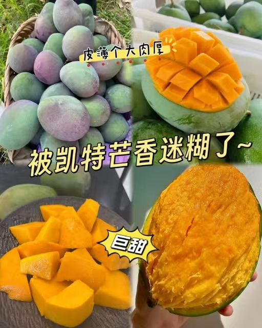 攀枝花凯特芒果含箱3斤 4.89元,植护卫生巾 1元 - 86线报 攀枝花凯特芒果含箱3斤 4.89元,植护卫生巾 1元 - 86线报