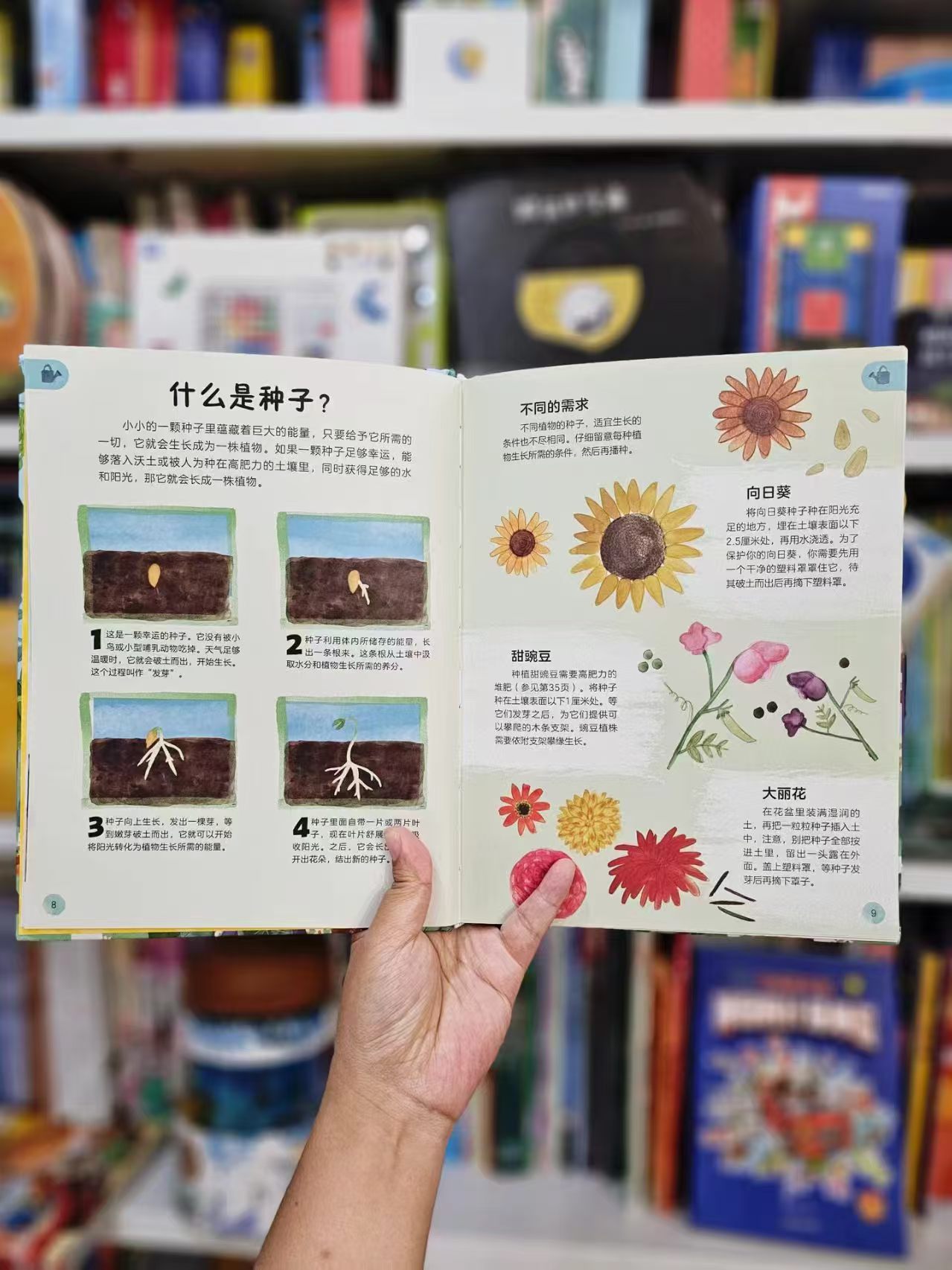 DK万物生长的秘密 21.2元 - 86线报