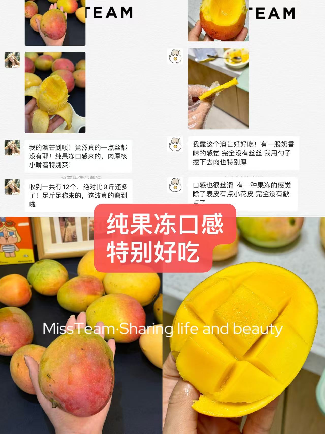 圆滚滚的澳芒9斤 15.9元 - 美泡泡