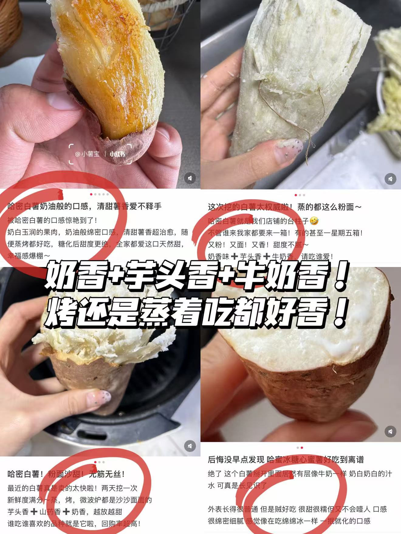 宝菜冰糖心白薯4.6斤 19.9元 - 线报酷 宝菜冰糖心白薯4.6斤 19.9元 - 线报酷