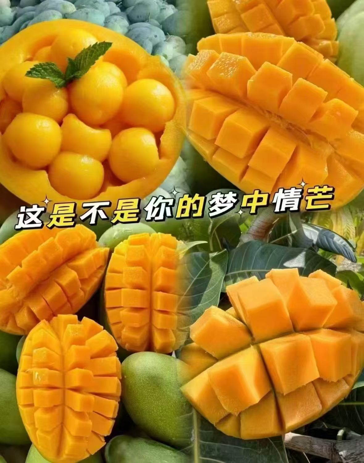 山疆湾攀枝花椰香芒果9斤 29.9元 - 86线报