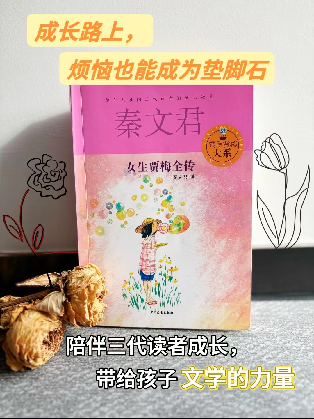 女生贾梅全传 14.6元 - 86线报