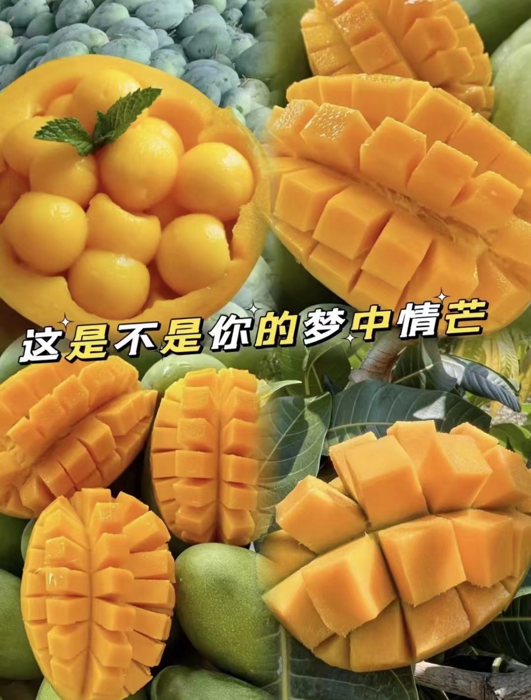 四川凯特芒果带箱1斤 1.9元 - 86线报