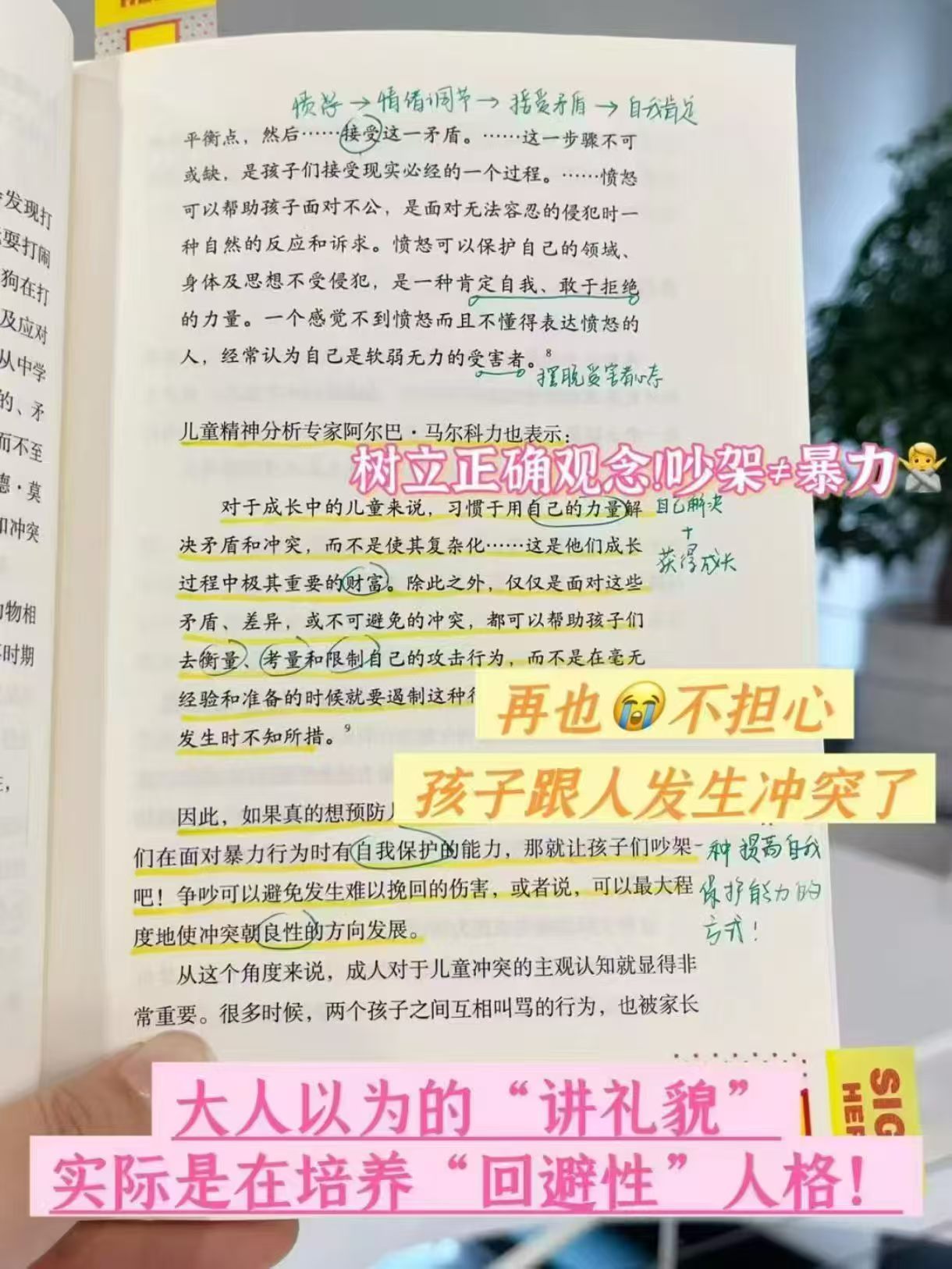 别害怕吵架教孩子在冲突中学会正向沟通 25元 - 86线报