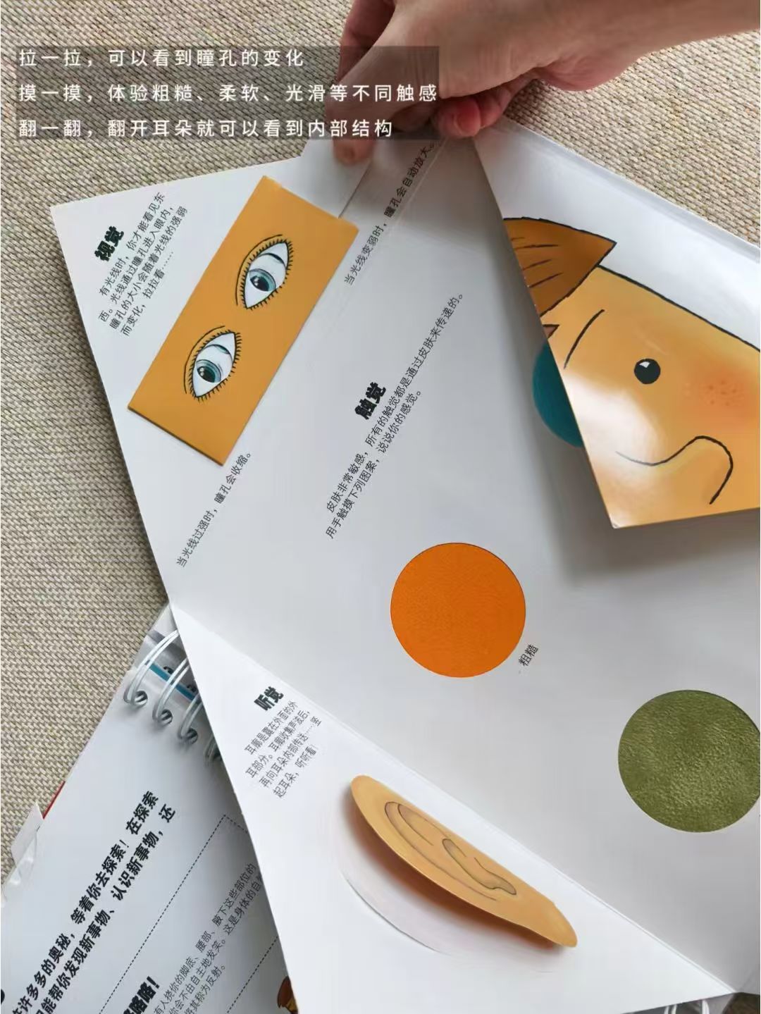 乐乐趣我们的身体3D书 59.9元 - 86线报