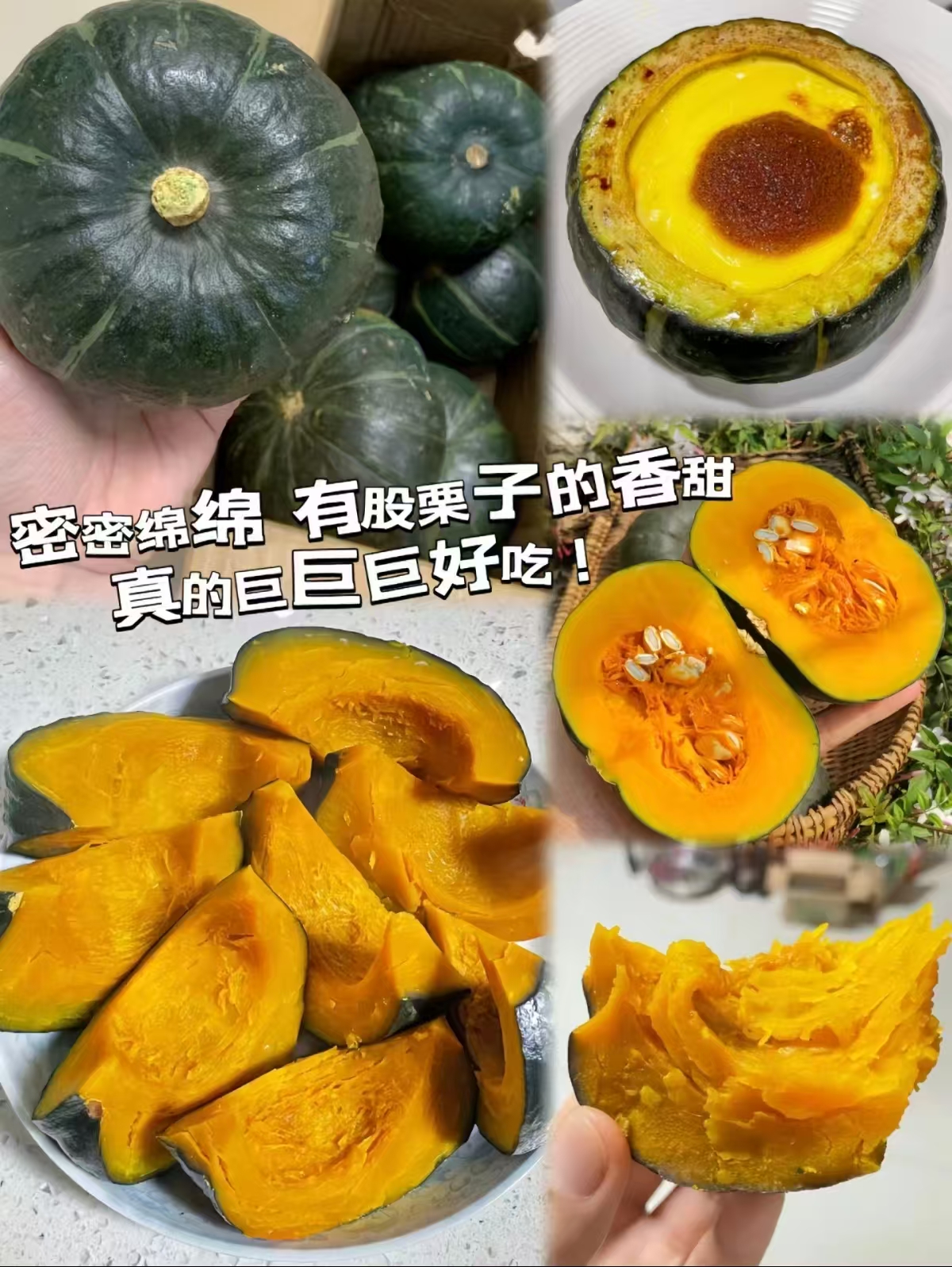 正宗贝贝南瓜5斤 8.5元 - 线报酷