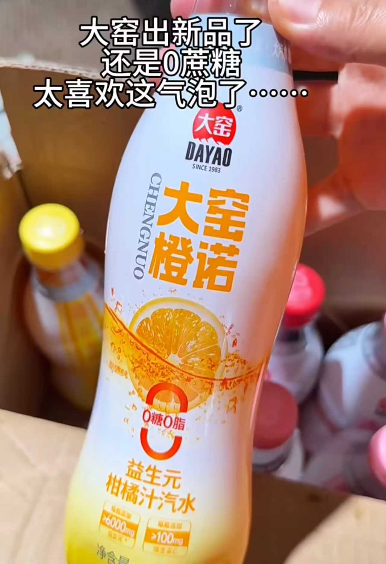 大窑果汁汽水饮料450ml/瓶 拍1共6瓶 12.3元 - 86线报